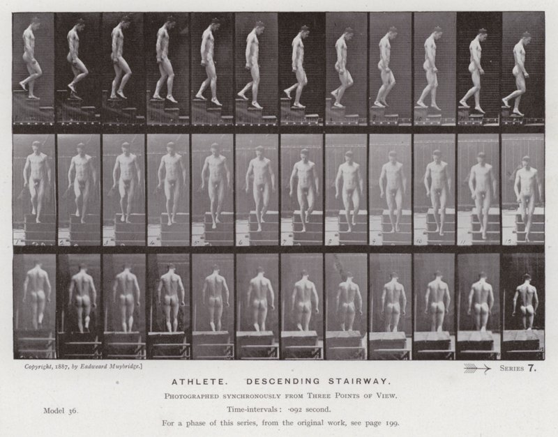 Ihmishahmo liikkeessä: Urheilija laskeutumassa portaita pitkin (m/w kuva) tekijältä Eadweard Muybridge