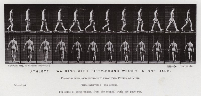 Ihmishahmo liikkeessä: Urheilija kävelee 50 kiloa painaen toisessa kädessään (m/v kuva) tekijältä Eadweard Muybridge