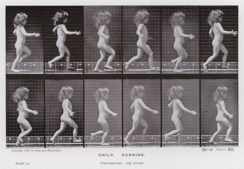 Ihmishahmo liikkeessä: Lapsi, juoksu (m/w kuva) tekijältä Eadweard Muybridge