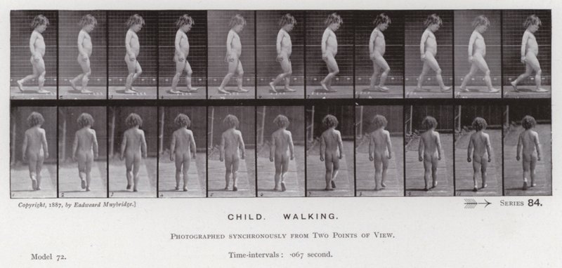 Ihmishahmo liikkeessä: lapsi, kävelevä (m/v kuva) tekijältä Eadweard Muybridge