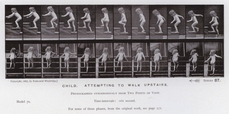 Ihmishahmo liikkeessä: Lapsi, joka yrittää kävellä yläkertaan (m/w kuva) tekijältä Eadweard Muybridge