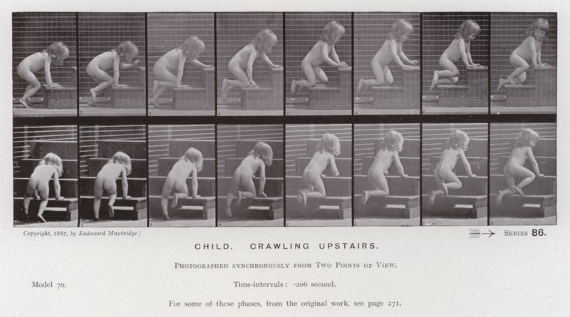 Ihmishahmo liikkeessä: Lapsi ryömii yläkertaan (m/w kuva) tekijältä Eadweard Muybridge