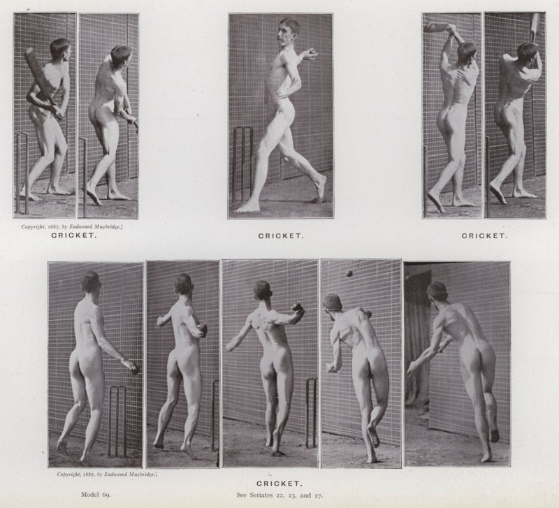Ihmishahmo liikkeessä: Kriketti (m/v kuva) tekijältä Eadweard Muybridge