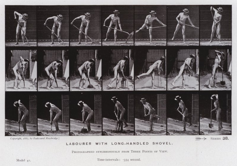 Ihmishahmo liikkeessä: Työmies pitkävartisella lapiolla (m/v kuva) tekijältä Eadweard Muybridge
