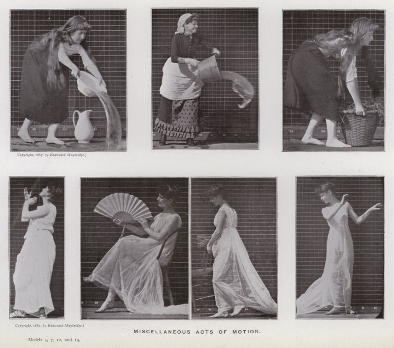 Liikkeessä oleva ihmishahmo: sekalaiset liikkeet (m/v kuva) tekijältä Eadweard Muybridge