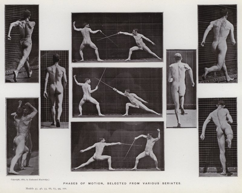 Ihmishahmo liikkeessä: liikkeen vaiheet, valittu eri sarjoista (m/w kuva) tekijältä Eadweard Muybridge