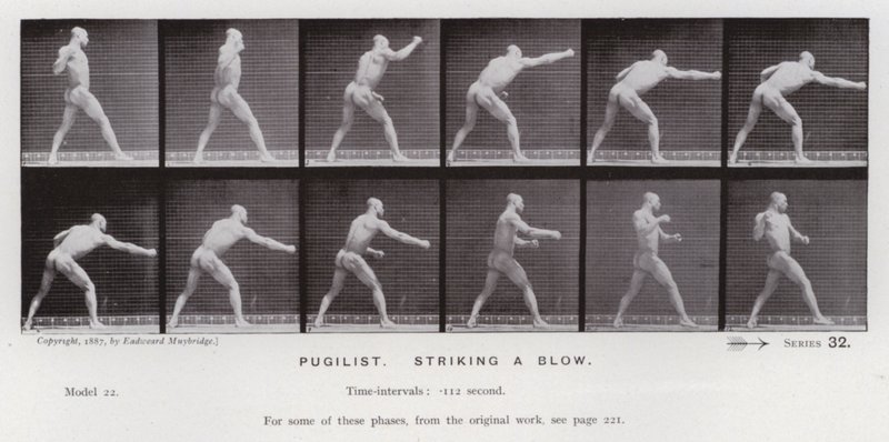 Ihmishahmo liikkeessä: Pugilist, iskee iskun (m/w kuva) tekijältä Eadweard Muybridge