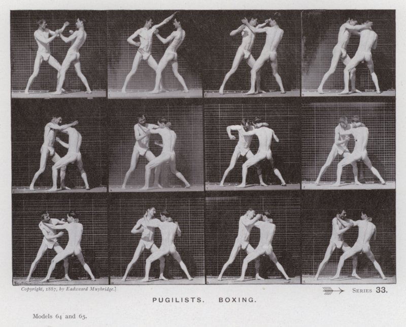 Ihmishahmo liikkeessä: Pugilistit, nyrkkeily (m/v kuva) tekijältä Eadweard Muybridge