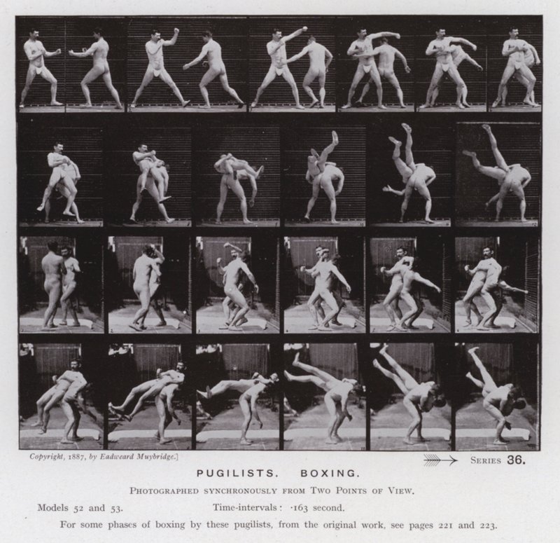 Ihmishahmo liikkeessä: Pugilistit, nyrkkeily (m/v kuva) tekijältä Eadweard Muybridge