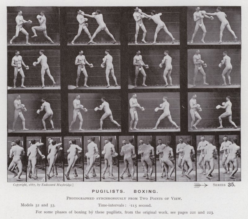 Ihmishahmo liikkeessä: Pugilistit, nyrkkeily (m/v kuva) tekijältä Eadweard Muybridge