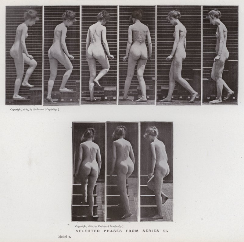 Ihmishahmo liikkeessä: valitut vaiheet sarjasta 41 (m/v kuva) tekijältä Eadweard Muybridge