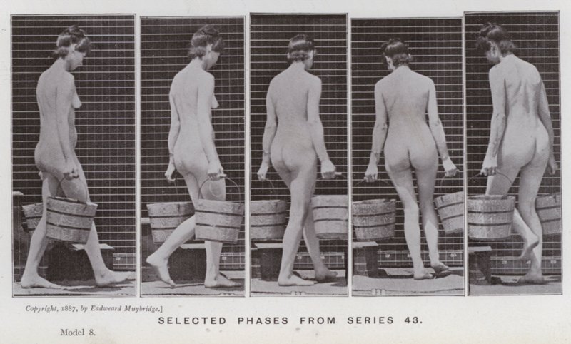 Ihmishahmo liikkeessä: Valitut vaiheet sarjasta 43 (m/v kuva) tekijältä Eadweard Muybridge