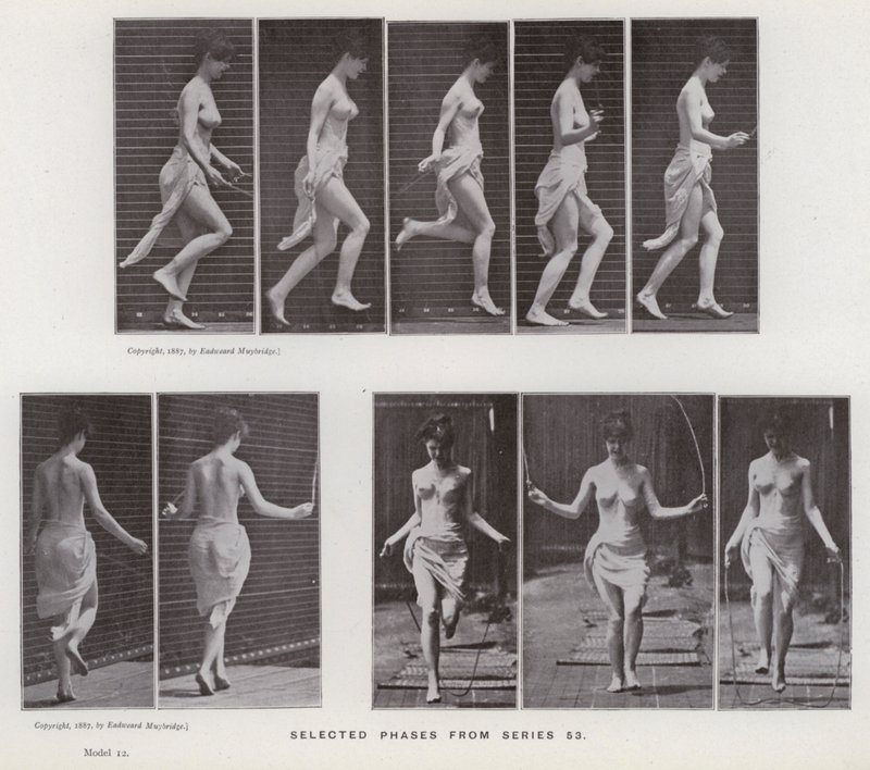 Ihmishahmo liikkeessä: Valitut vaiheet sarjasta 53 (m/v kuva) tekijältä Eadweard Muybridge
