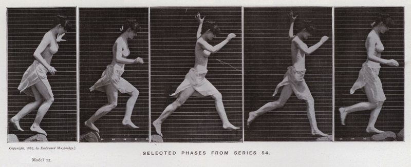 Ihmishahmo liikkeessä: Valitut vaiheet sarjasta 54 (m/v kuva) tekijältä Eadweard Muybridge