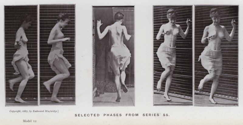 Ihmishahmo liikkeessä: Valitut vaiheet sarjasta 55 (m/v kuva) tekijältä Eadweard Muybridge