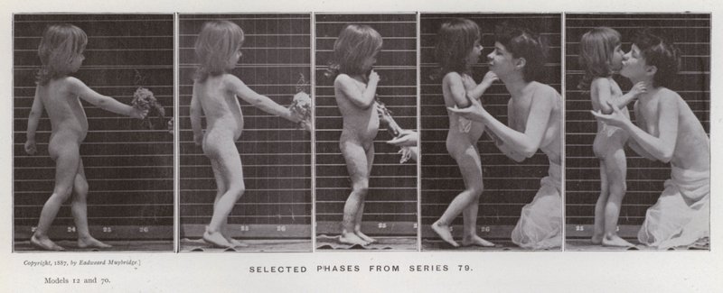 Ihmishahmo liikkeessä: Valitut vaiheet sarjasta 79 (m/v kuva) tekijältä Eadweard Muybridge