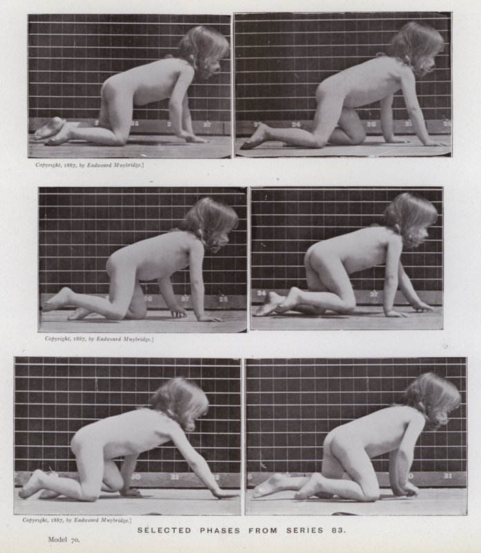 Ihmishahmo liikkeessä: Valitut vaiheet sarjasta 83 (m/v kuva) tekijältä Eadweard Muybridge