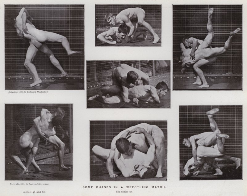 Ihmishahmo liikkeessä: Joitakin vaiheita painiottelussa (m/w kuva) tekijältä Eadweard Muybridge