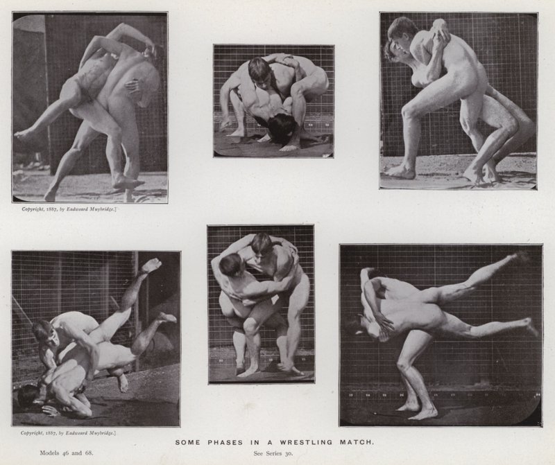 Ihmishahmo liikkeessä: Joitakin vaiheita painiottelussa tekijältä Eadweard Muybridge