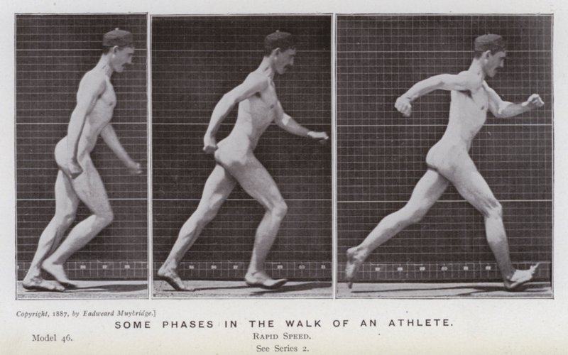 Ihmishahmo liikkeessä: Jotkut urheilijan kävelyn vaiheet (m/w kuva) tekijältä Eadweard Muybridge