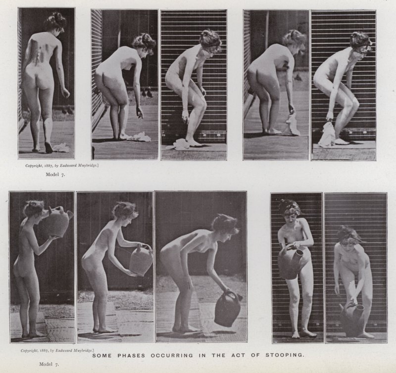 Ihmishahmo liikkeessä: Jotkin kumartumisen vaiheet tekijältä Eadweard Muybridge