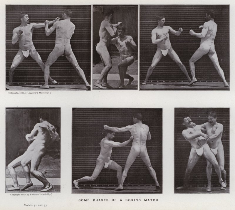 Ihmishahmo liikkeessä: Nyrkkeilyottelun eräitä vaiheita (m/v kuva) tekijältä Eadweard Muybridge