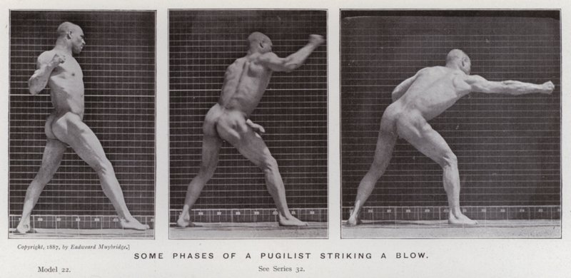 Ihmishahmo liikkeessä: Joitakin vaiheita pugilistin iskemisestä (m/w kuva) tekijältä Eadweard Muybridge