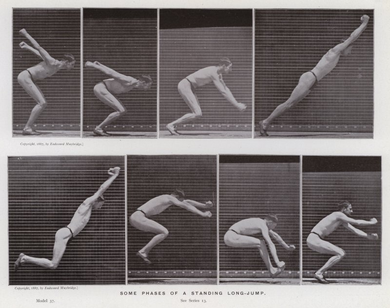 Ihmishahmo liikkeessä: Jotkut seisovan pituushypyn vaiheet (m/w kuva) tekijältä Eadweard Muybridge