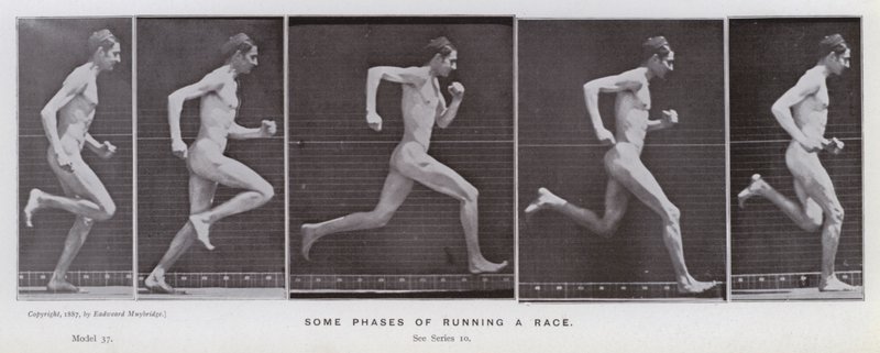 Ihmishahmo liikkeessä: Jotkut juoksun vaiheet (m/w kuva) tekijältä Eadweard Muybridge