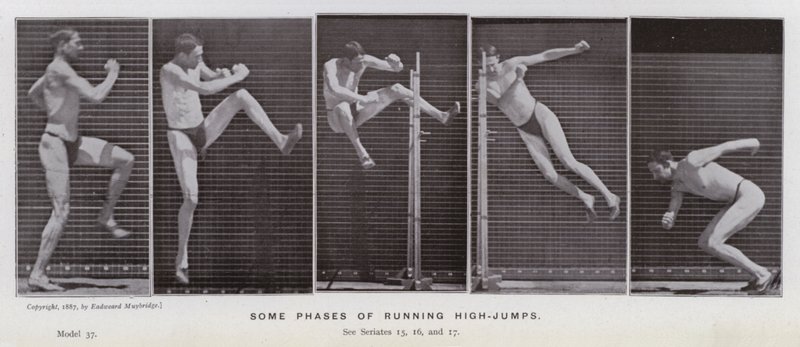 Ihmishahmo liikkeessä: Jotkin korkeushypyt juoksemisen vaiheet (m/w kuva) tekijältä Eadweard Muybridge