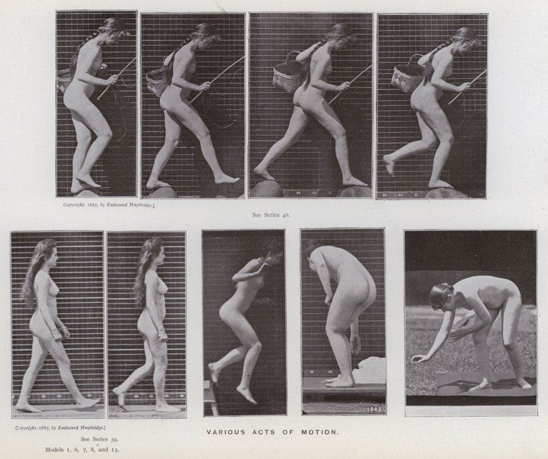 Ihmishahmo liikkeessä: Erilaisia liiketoimia (m/w kuva) tekijältä Eadweard Muybridge