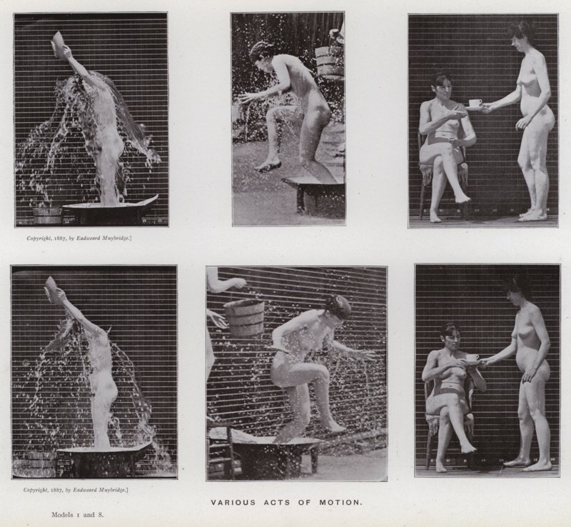 Ihmishahmo liikkeessä: Erilaisia liiketoimia (m/w kuva) tekijältä Eadweard Muybridge