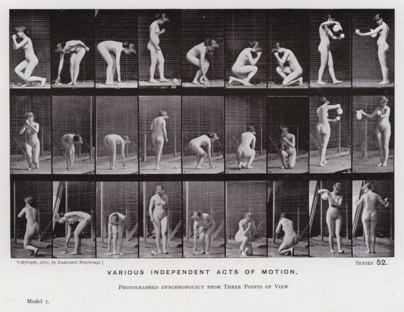 Ihmishahmo liikkeessä: Erilaisia itsenäisiä liiketoimia (m/w kuva) tekijältä Eadweard Muybridge