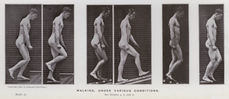 Ihmishahmo liikkeessä: Kävely, eri olosuhteissa (m/w kuva) tekijältä Eadweard Muybridge