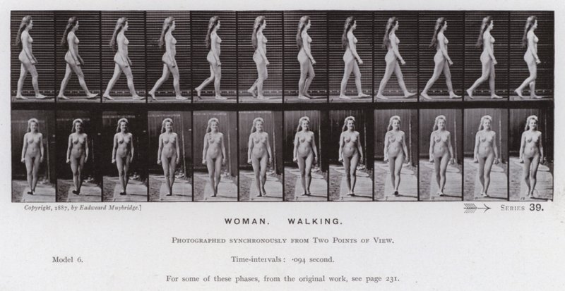 Ihmishahmo liikkeessä: nainen, kävelevä (m/w kuva) tekijältä Eadweard Muybridge
