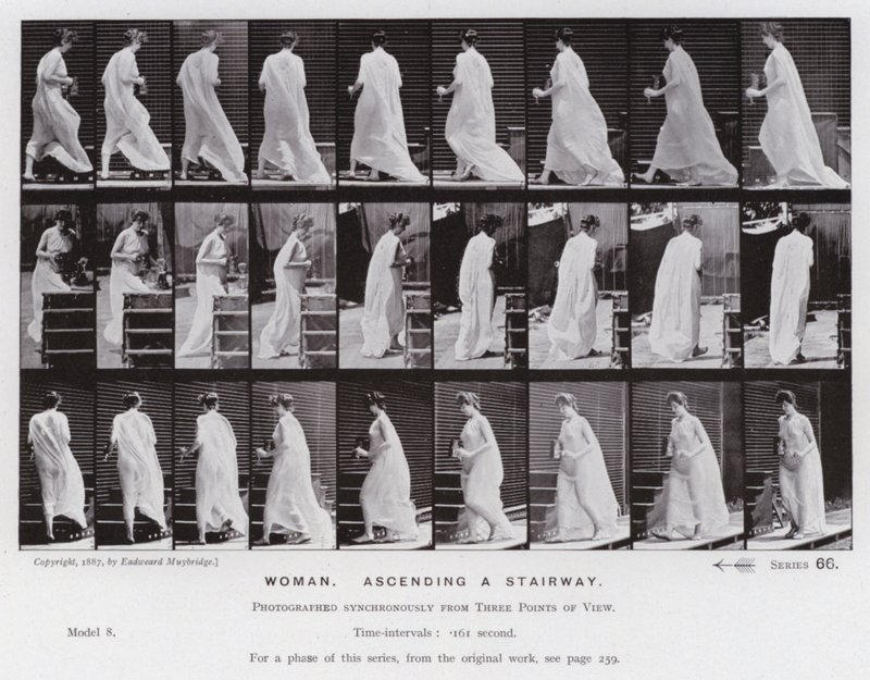 Ihmishahmo liikkeessä: Nainen nousemassa portaita pitkin (m/w kuva) tekijältä Eadweard Muybridge