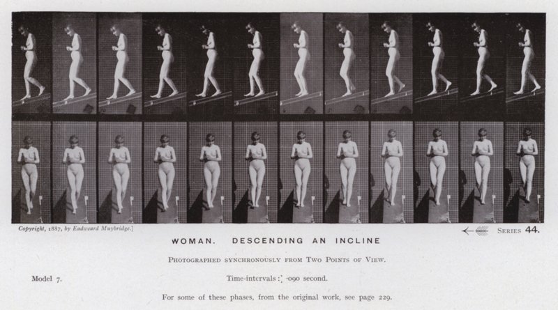 Ihmishahmo liikkeessä: Nainen laskeutumassa rinnettä (m/w kuva) tekijältä Eadweard Muybridge