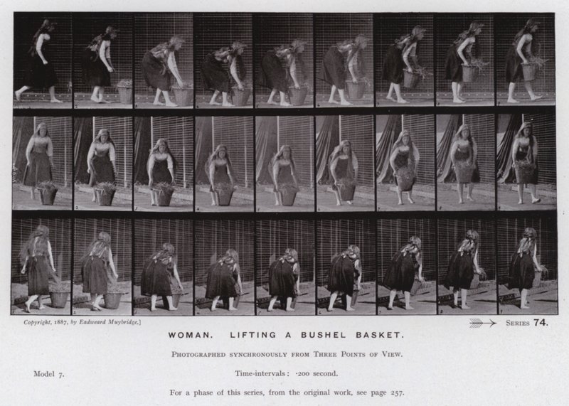 Ihmishahmo liikkeessä: Nainen nostamassa vakakoria (valkoinen kuva) tekijältä Eadweard Muybridge