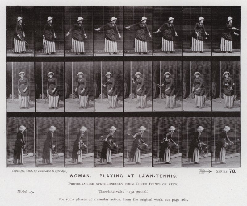 Ihmishahmo liikkeessä: Nainen pelaa nurmikkotennistä (m/w kuva) tekijältä Eadweard Muybridge