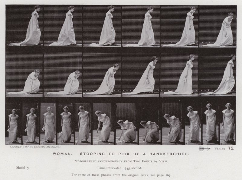 Liikkeessä oleva ihmishahmo: Nainen kumartumassa ottamaan nenäliinan (m/w kuva) tekijältä Eadweard Muybridge