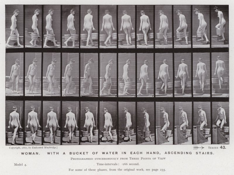 Ihmishahmo liikkeessä: Nainen, vesiämpäri molemmissa käsissä, nousemassa portaita tekijältä Eadweard Muybridge