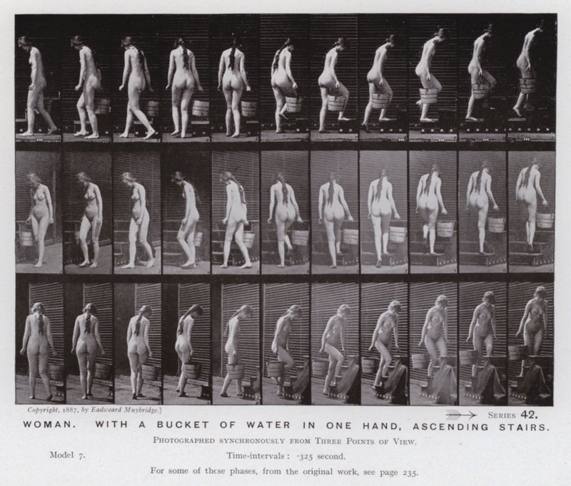 Ihmishahmo liikkeessä: Nainen, vesiämpäri toisessa kädessään, nousemassa portaita (m/w kuva) tekijältä Eadweard Muybridge