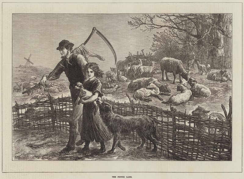 Foster Lamb tekijältä Ebenezer Newman Downard