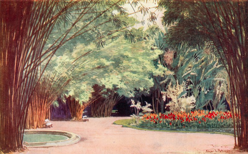 Bamboo Grove, kasvitieteellinen puutarha (väri litho) tekijältä Edgar L. Pattison