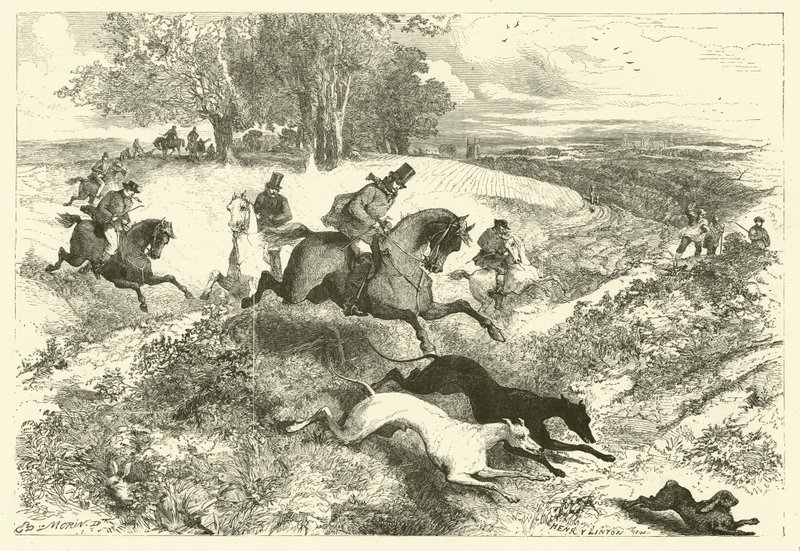 Jäniksen juoksua Englannissa (kaiverrus) tekijältä Edmond (after) Morin