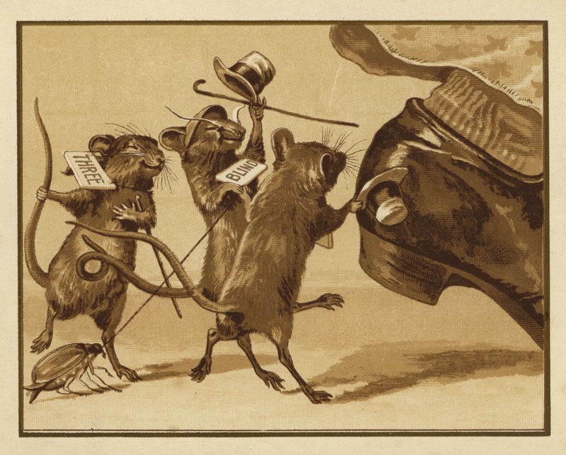 Kuvitus kolmelle sokealle hiirelle (väri litho) tekijältä Edmund G. Caldwell