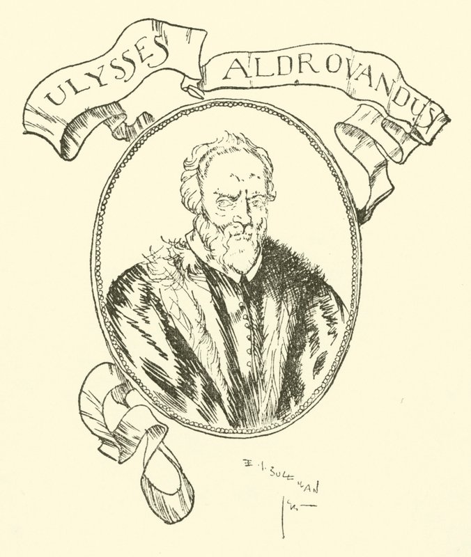 Ulysses Aldrovandus tekijältä Edmund Joseph after Sullivan