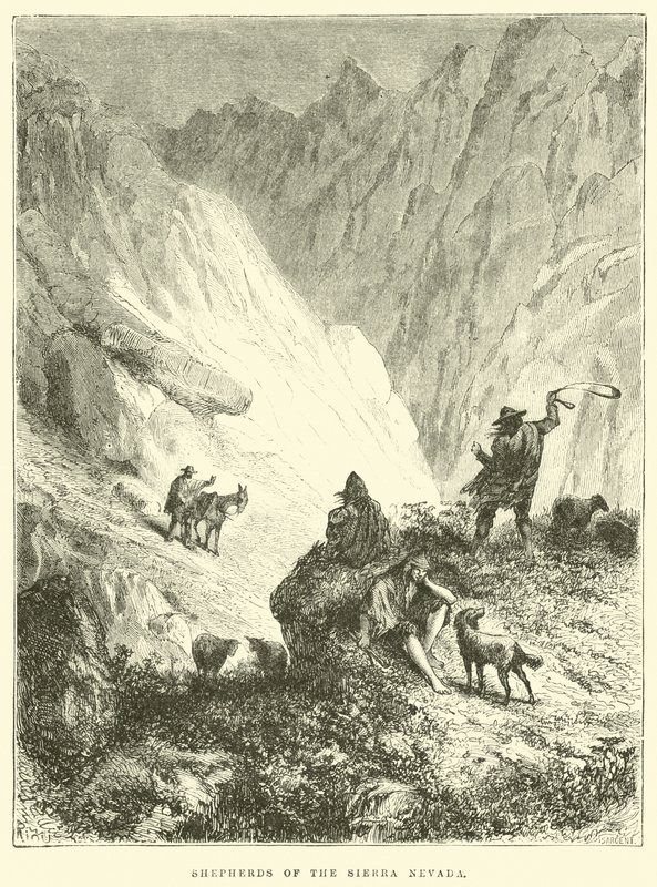 Sierra Nevadan paimenet tekijältä Edouard Riou