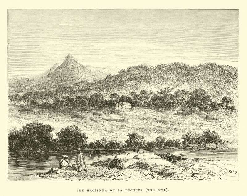 La Lechuzan hacienda, pöllö tekijältä Edouard Riou