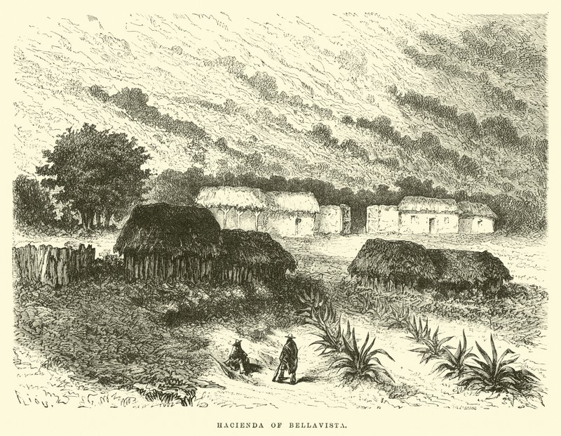 Bellavistan Hacienda tekijältä Edouard Riou
